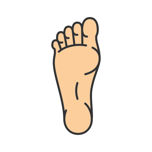 Neurológico Derecho